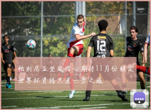 帕利尼亚坚定信心期待11月份锁定世界杯资格只差一步之遥