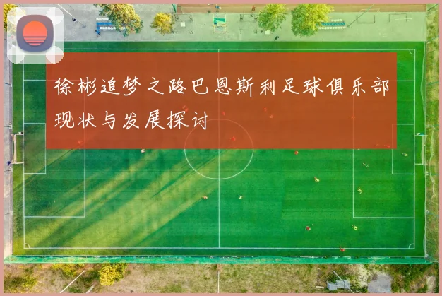 徐彬追梦之路巴恩斯利足球俱乐部现状与发展探讨